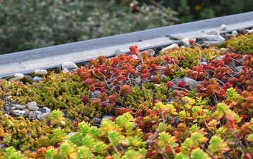 the cost of St Monans green roof installation