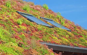 St Monans living roof systems